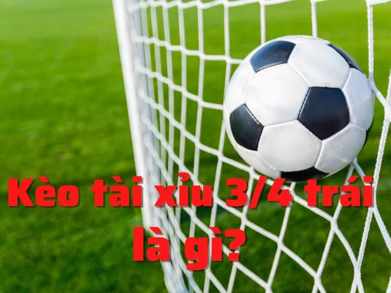 Định nghĩa kèo tài xỉu 0.75 Định nghĩa kèo tài xỉu 0.75