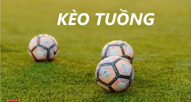 Kiến thức cơ bản các cược thủ cần nắm trước khi chơi kèo Kiến thức cơ bản các cược thủ cần nắm trước khi chơi kèo